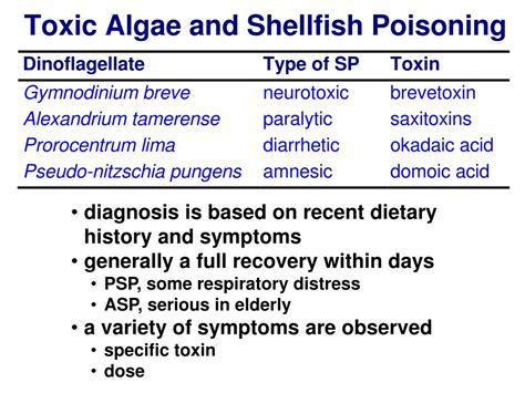 Ppt Naegleria Fowleri Primary Amebic Meningoencephalitis Pam Acanthamoeba Spp Granulomatous