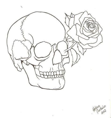 Skull Rose Drawing Outline Gallery Skull And Rose Drawing Skull