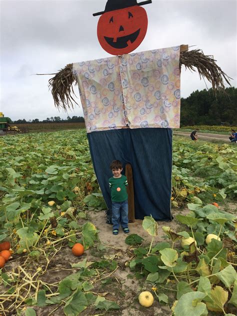 Guide To Columbia Area Pumpkin Patches