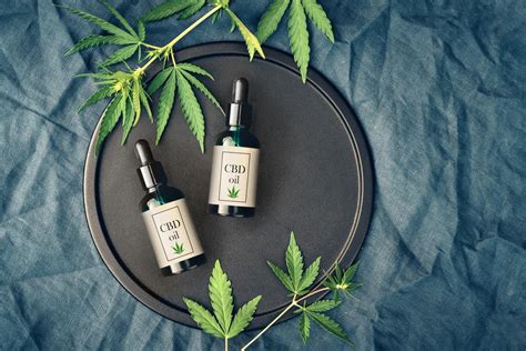 Aceite De Cbd Qué Es Y Para Qué Sirve ¡descúbrelo