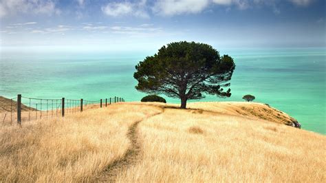 Hintergrundbilder Sonnenlicht B Ume Landschaft Meer Bucht H Gel