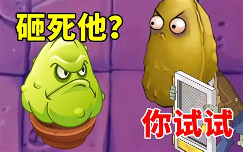 植物大战僵尸beta版：窝瓜能砸死高坚果僵尸吗？哔哩哔哩bilibili