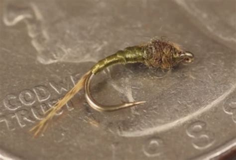 Video How To Tie The WD 40 Emerger Orvis News Fly Fishing Fly