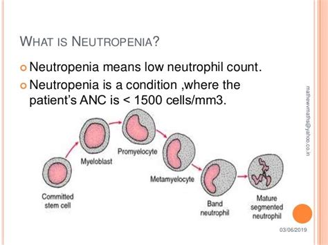 Febrile Neutropenia Nursing Ppt