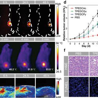 A Nirii Fli Of The Mice At Different Time After Intratumoral