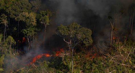 Desmatamento Na Amaz Nia Volta A Crescer Recorde Em Mar O