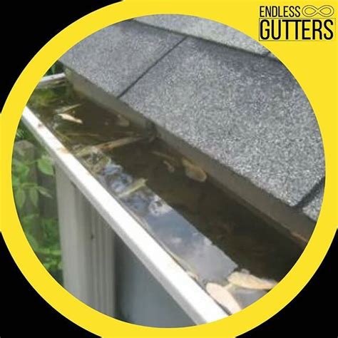 Issues with leaking or damaged gutters? Endless Gutters is here to help ...