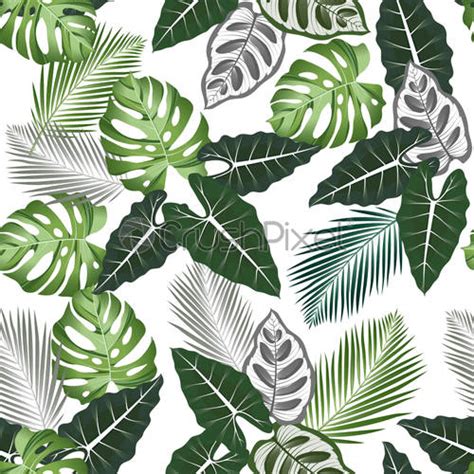 Seamless Pattern With Tropical Leaves Alocasia Palms Monstera Banana