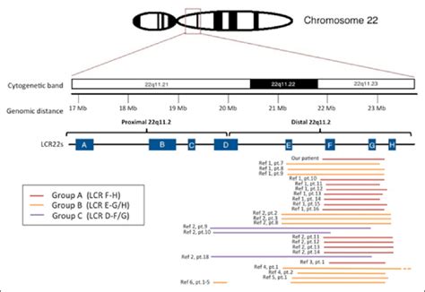 Schematic Overview Of Overlapping Distal 22q112 Duplications From Our