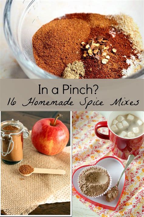 16 Homemade Spice Mixes How Does She