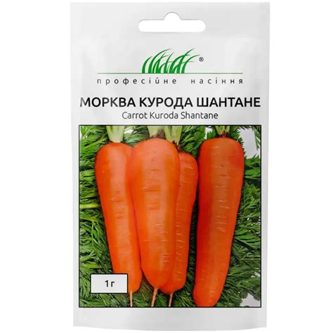 Купить Морковь Курода Шантане ранняя Цена, фото, описание, отзывы ...