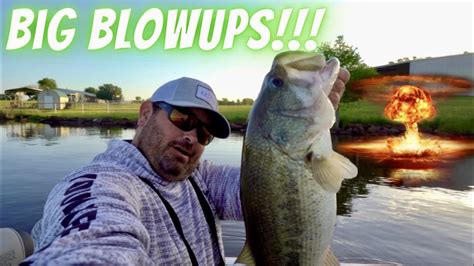 Catching Big Bass On Topwater And Flipping Does It Get Any Better