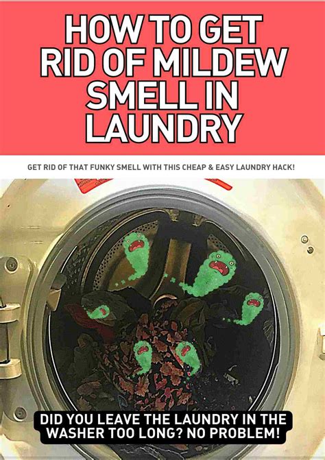 How To Get Rid Of Mildew Smell In Stored Clothes At Hannah Georgette Blog