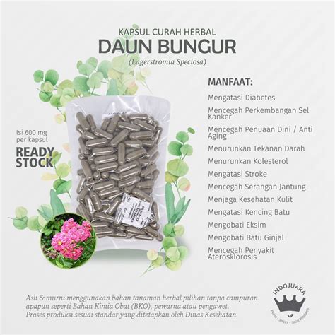 Jual Daun Bungur Kapsul Curah Herbal Stroke Penggumpalan Darah