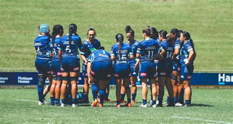 nib BLUES READY FOR SOUTHERN SHOWDOWN — Blues Rugby