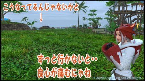 じゃんぬ🗺️ On Twitter Rt R8cnuhdfbno9ndn 私はヒーラーです331 おはにゃにゃ にこ♪