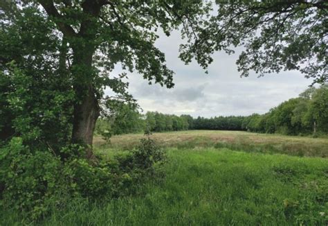 Buurtacademie En Bodemverzorging Fruitbomen Drijber Net