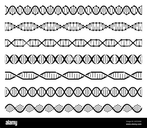 Dna Helix Chains Double Helix Gene Molecule Structure Human Genetic