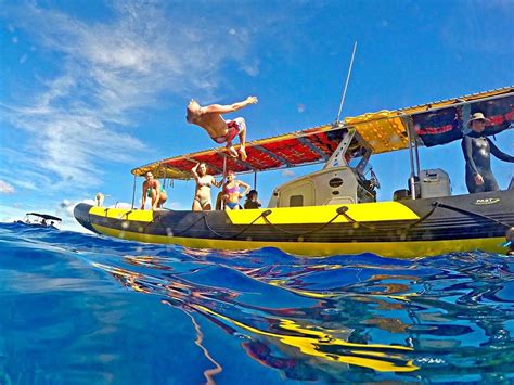 Maui Snorkel Charters Kihei 2022 Lohnt Es Sich Mit Fotos