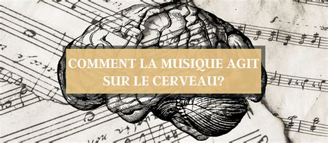 Comment La Musique Agit Sur Le Cerveau Petite Manivelle