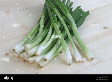 Spring Onions Hi Res Stock Photography And Images Alamy