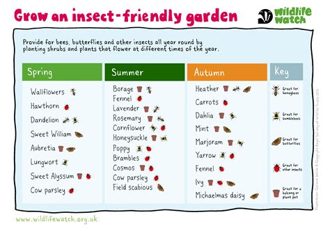 Insect Friendly Gardening The Wildlife Trusts