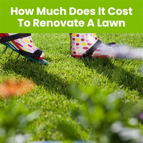 Lawn Renovation Cost