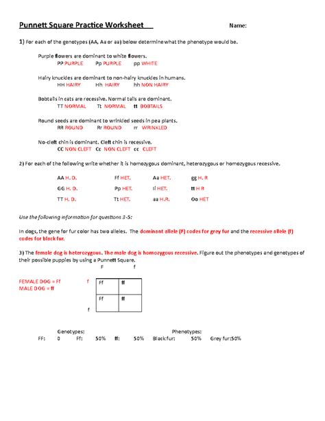 Printable Punnett Square Worksheets