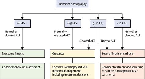 Chronic Hepatitis B Virus Infection The Lancet