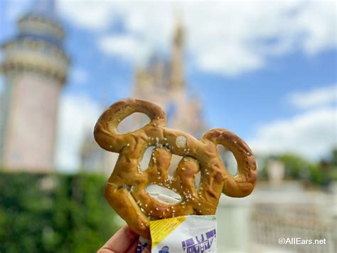 5 Things Disney Adults Eat That I Just Dont Understand Allears Net