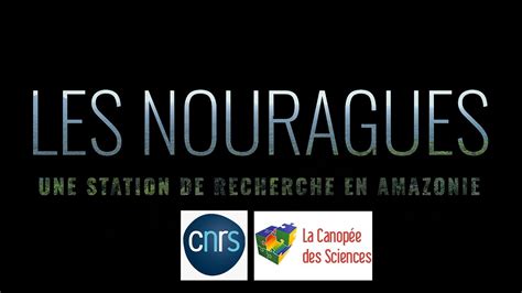 Les Nouragues Une Station De Recherche En Amazonie Cnrs De