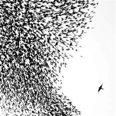 Review: Wilco, Sky Blue Sky - Slant Magazine