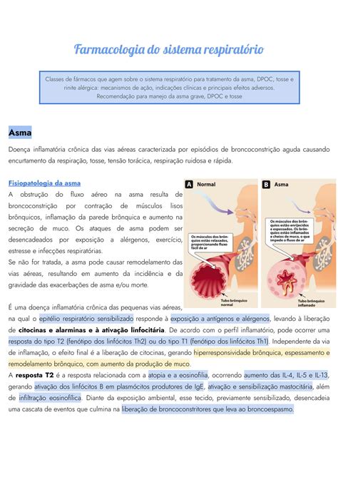 SOLUTION Farmacologia Do Sistema Respirat Rio Studypool