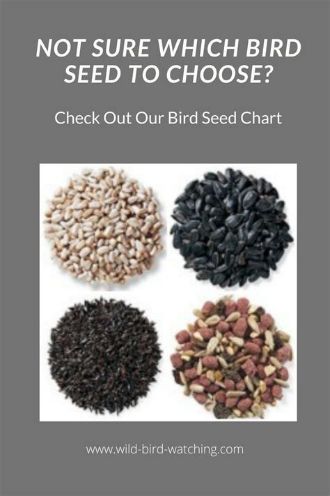 Which Bird Seed for Which Bird? | Bird seed, Seeds, Bird