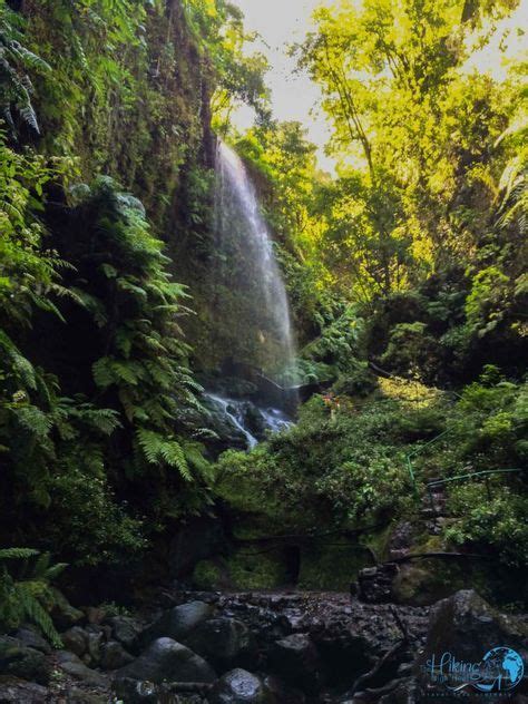 La Palma Barranco Del Agua Cascada De Los Tilos Islas Canarias