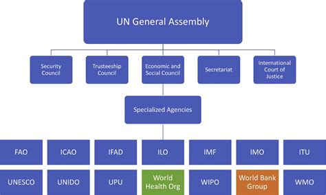 World Health Organization Leading Surgical Care Toward Sustainable Development In The Era Of