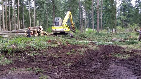 Washington Logger Moving Nice Douglas Fir Timber Logging Company Log