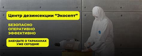 Центр дезинсекции "Экосепт" | Дезинсекция, дезинфекция, дератизация ...