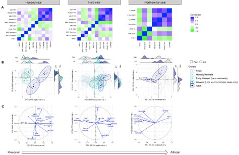 A Heat Map Correlations And B C Principal Component Analyses Showing