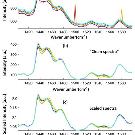 Pre Processing Of Raman Spectra Including Spike Removal Denoise Download Scientific Diagram