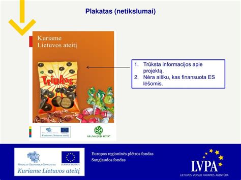 Ppt Es Projektų Viešinimas Reikalavimai Ir Praktinis įgyvendinimas