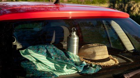 Los Objetos Que No Debes Dejar En Tu Auto Durante La Ola De Calor