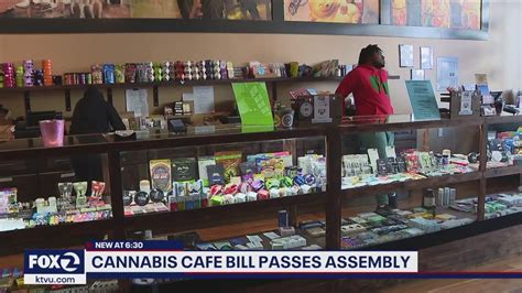 Bill Allowing Amsterdam Style Cannabis Cafés Passes California Assembly Youtube