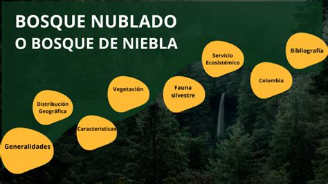 Bosque Nubloso By Juan Pablo Mesa Mejia On Prezi