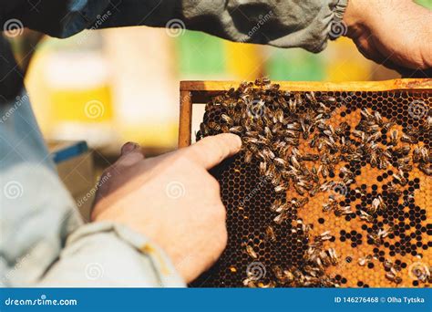 Bienenbienenstockdetail Imker Arbeitet Mit Bienen Und Bienenst Cken Auf