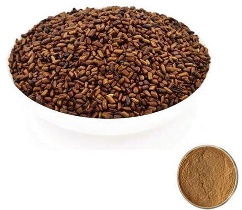 Cassia Seed Benefits Blog Undersun Biomedtech Corp