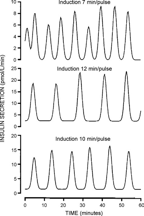 Calculated Pulsatile Insulin Secretion During Glucose Entrainment