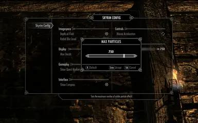 How To Use Nexus Mod Manager For Skyrim Special Edition Dailylasopa