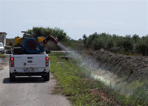 La Diputación de Castellón realiza tratamientos terrestres contra la