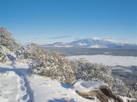 Snowshoeing In Flagstaff Our 5 Favorite Trails Southwest Microadventures